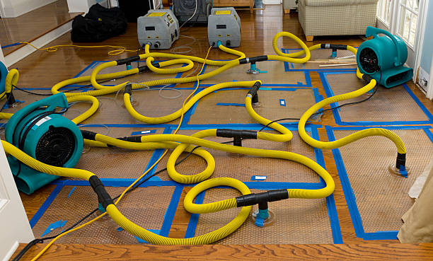 Professional Crawl Space Water Removal technician working in Springfield, ME